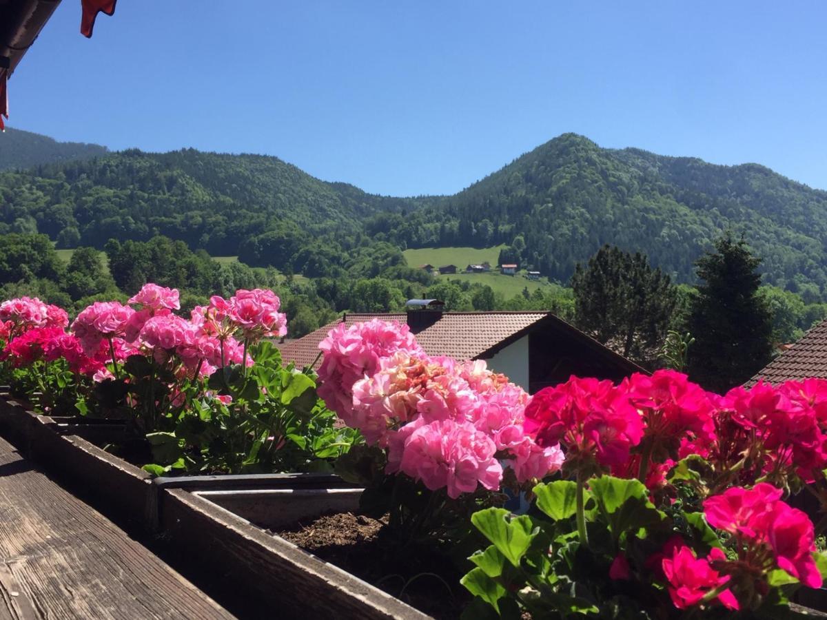 Ferienwohnungen Gaestehaus Sonnenkreis Ruhpolding Bagian luar foto