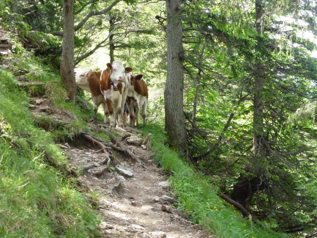 Ferienwohnungen Gaestehaus Sonnenkreis Ruhpolding Bagian luar foto